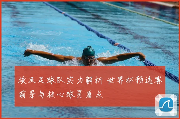 埃及足球队实力解析 世界杯预选赛前景与核心球员看点